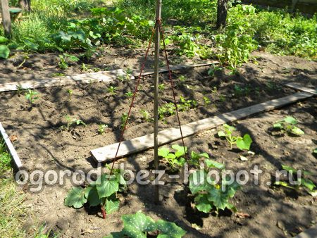 정원 침대의 오이를 위한 수직 지지대