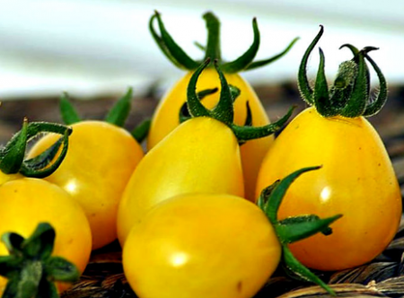 토마토 "De Barao": 품종의 특성 및 설명