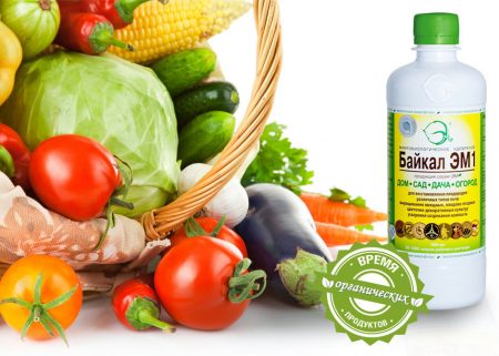 바이칼 EM-1: 사용 설명서