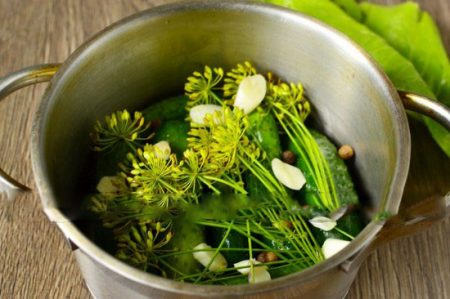 가볍게 소금을 뿌린 오이: 냄비로 만드는 빠른 요리법