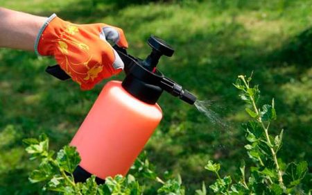 식물용 붕산: 적용 및 이점