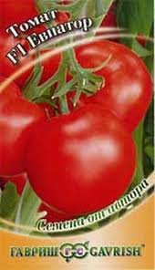 tomat-evpator-otzyvy-o-nem-tex-kto-vyrashhival-ego