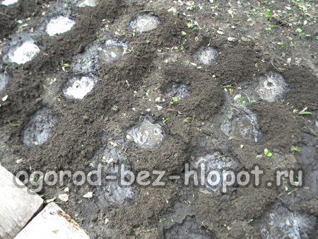 구멍에 물을 주다