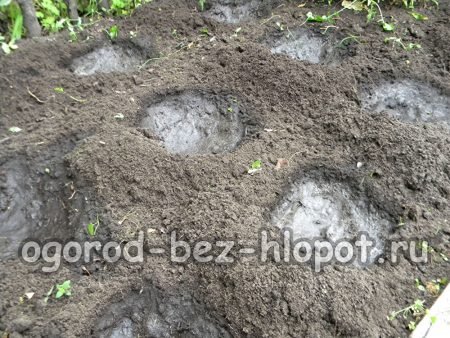 구멍에 물을 채우세요