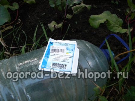 붕산을 이용한 사탕무 밭의 뿌리 영양 공급