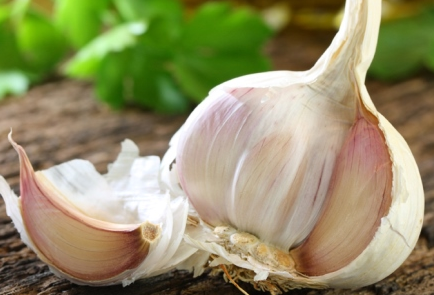 가을 심기를 위한 마늘밭 준비 방법