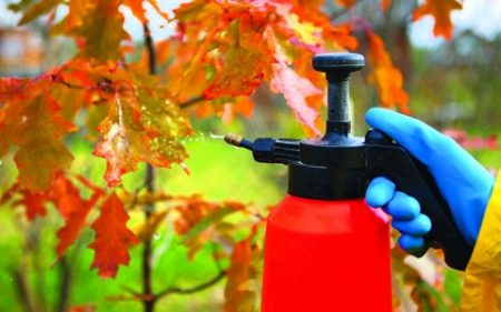 질병 및 해충에 대한 가을 토양 처리