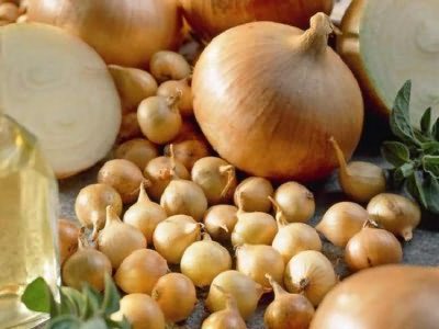 루크-렙차티-슈투트가르터-리젠-비라쉬바니에-이즈-세먀-이-코그다-사자트