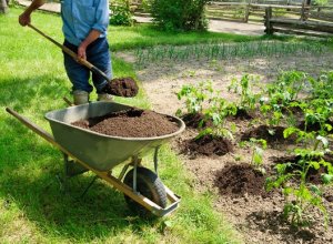 콘스키-나보즈-1_300x220