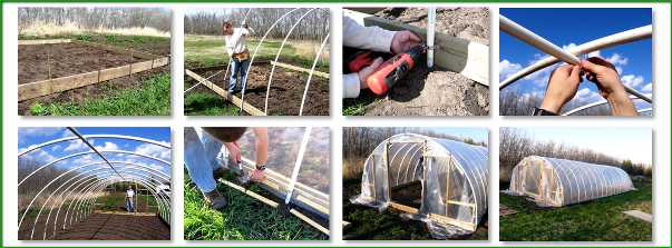 테플리카_이즈_트루비4