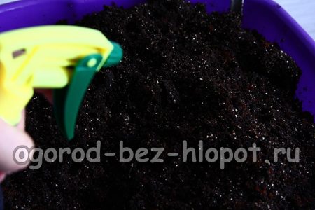 토양 혼합물에 지르콘을 살포합니다.