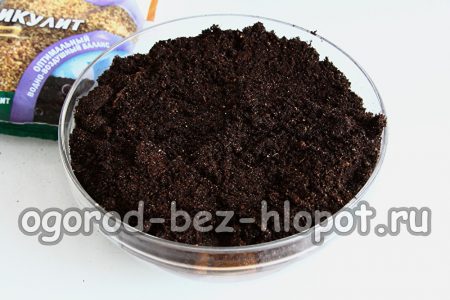 묘목을 위한 토양 조성