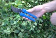 자작나무로 목욕빗자루를 만드는 방법은?