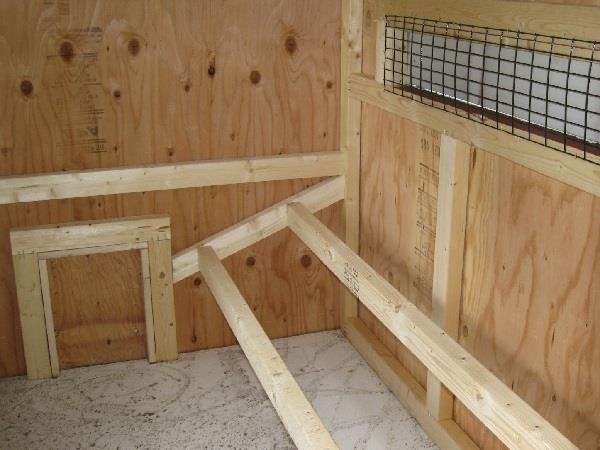 농어와 둥지 배치도