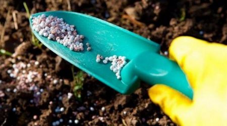 토양 비료 공급