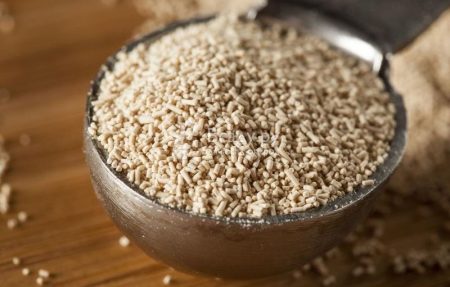 숟가락에 담긴 건조 효모