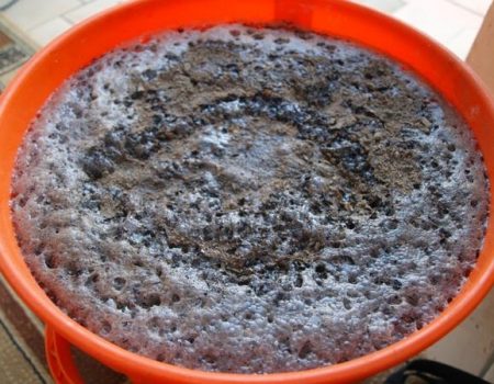 토마토용 잔디 및 효모 비료