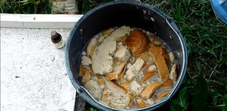 토마토를 먹이기 위한 빵 껍질