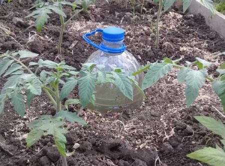 플라스틱 병으로 점적 관개
