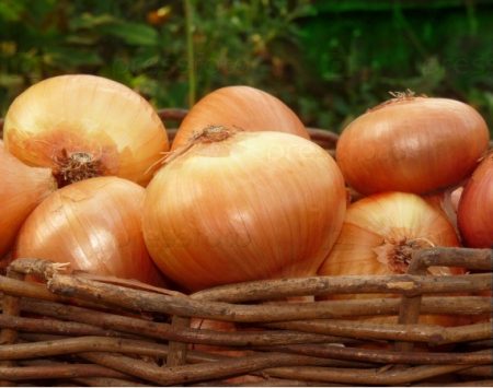 바구니에 담긴 양파