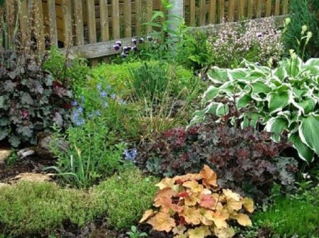 다른 색상과의 조합