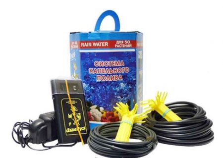 아쿠아두시아 세트