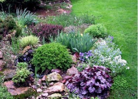 휴케라가 있는 화단