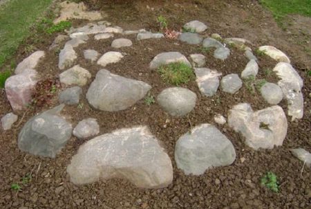 알파인 슬라이드