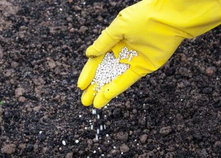 양파용 미네랄 비료