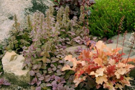 돌로 만든 구성