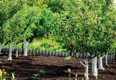 정원 침대 선택