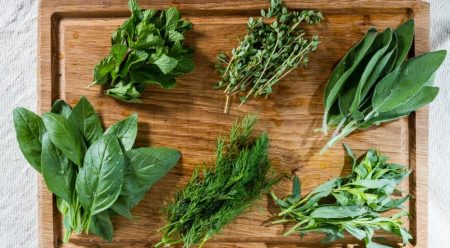 녹색을 정리하다