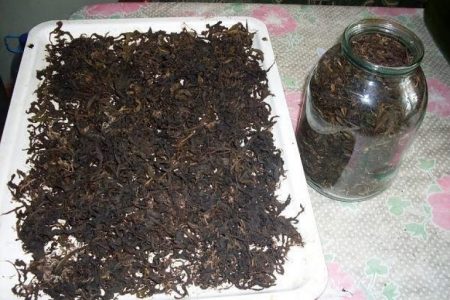 오븐에서 말리다