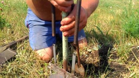 맹인 이 및 두더지 함정