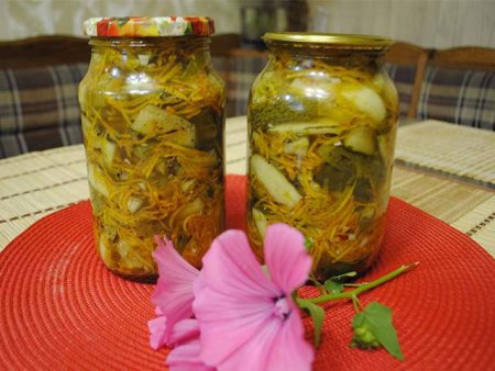 겨울을 위한 보존