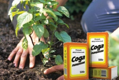 토양에 대한 이점