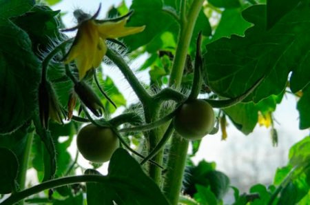 세 번째 처리 단계