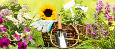 가일라르디아 관리