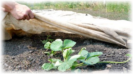 겨울을 위한 대피소