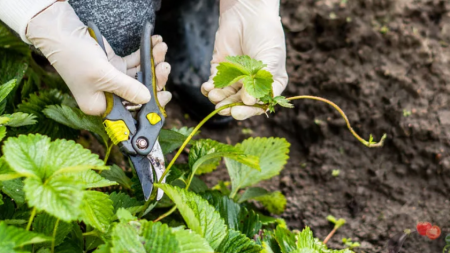 안테나를 다듬다