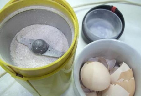 으깬 달걀 껍질
