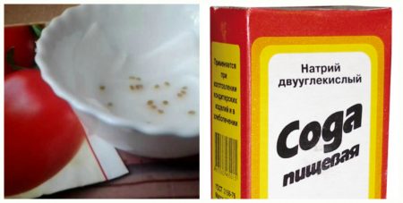 베이킹 소다에 씨앗을 담그다