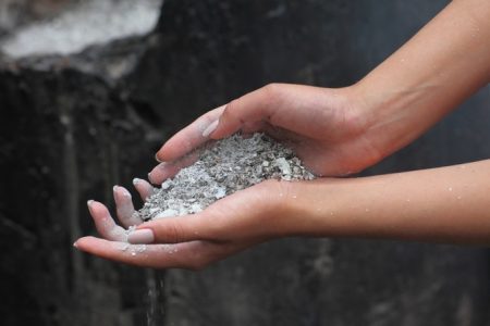 민달팽이 구충제