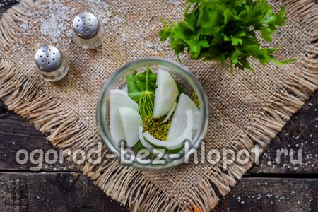 병에 담긴 양파