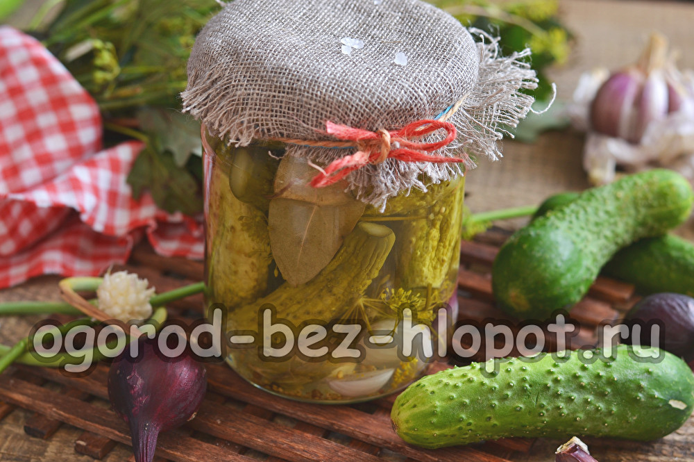 절인 오이 피클