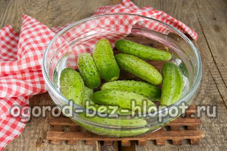 그릇에 담긴 오이