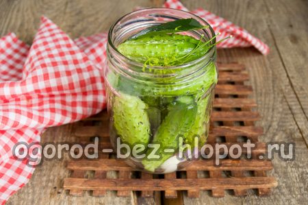 병에 담긴 오이