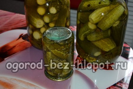 오이가 준비되었습니다.