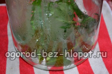 향신료를 병에 담으세요