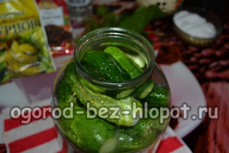 병에 담긴 오이